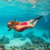 Snorkeling Gear Mask Fin Snorkel Set with Diving Mask Dry Top Snorkel Adjustable Swim Fins for Swimming Snorkeling Travel Diving - Image 5